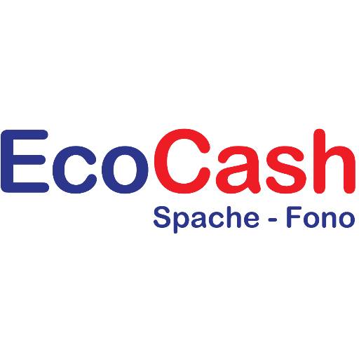 EcoCash Logo